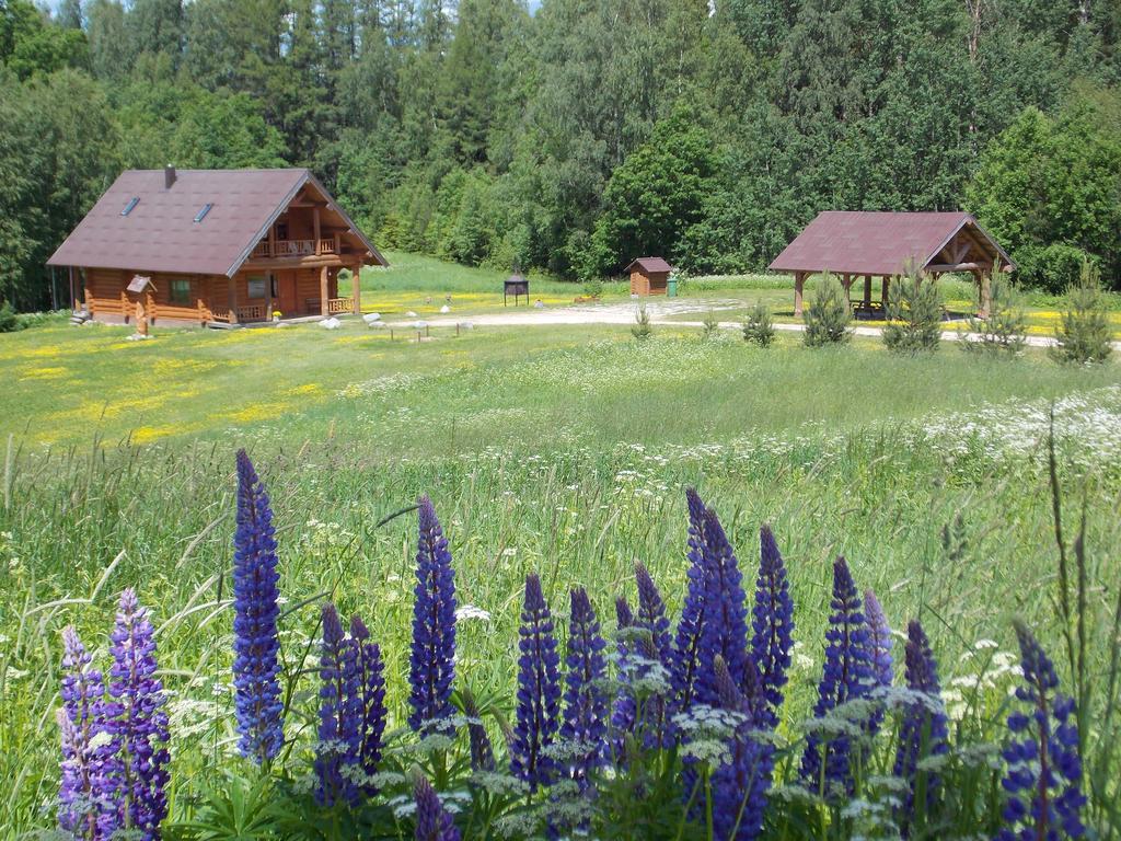 Guest House Kalnini Kārļi Eksteriør billede